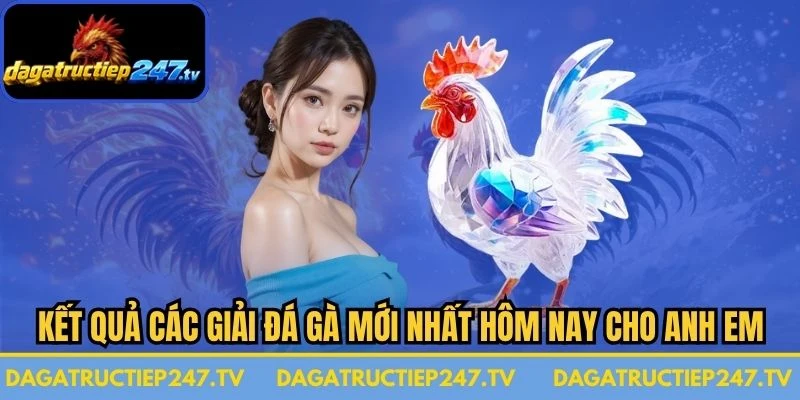 Kết Quả Các Giải Đá Gà