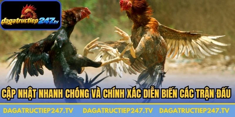 Cập nhật nhanh chóng và chính xác diễn biến các trận đấu quan trọng