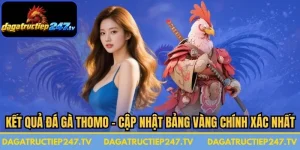 Kết Quả Đá Gà Thomo