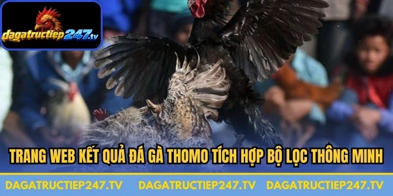 Trang web kết quả đá gà Thomo tích hợp bộ lọc thông minh