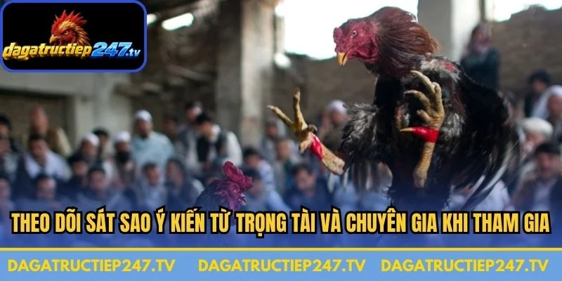 Theo dõi sát sao ý kiến từ trọng tài và chuyên gia khi tham gia 