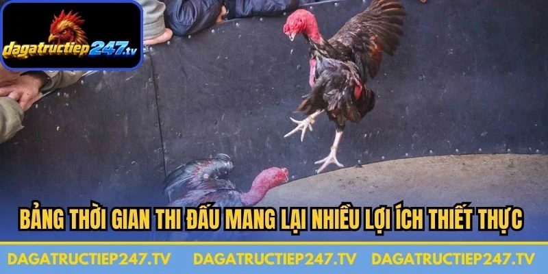 Bảng thời gian thi đấu mang lại nhiều lợi ích thiết thực cho người xem