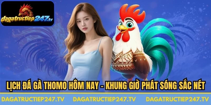 Lịch Đá Gà Thomo Hôm Nay