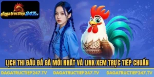 Lịch Thi Đấu Đá Gà Mới Nhất