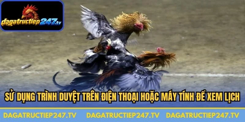 Sử dụng trình duyệt trên điện thoại hoặc máy tính để xem lịch