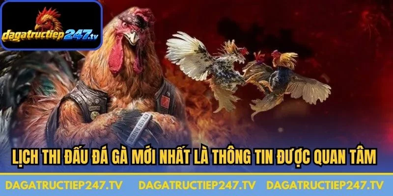 Lịch thi đấu đá gà mới nhất là thông tin được quan tâm hàng đầu