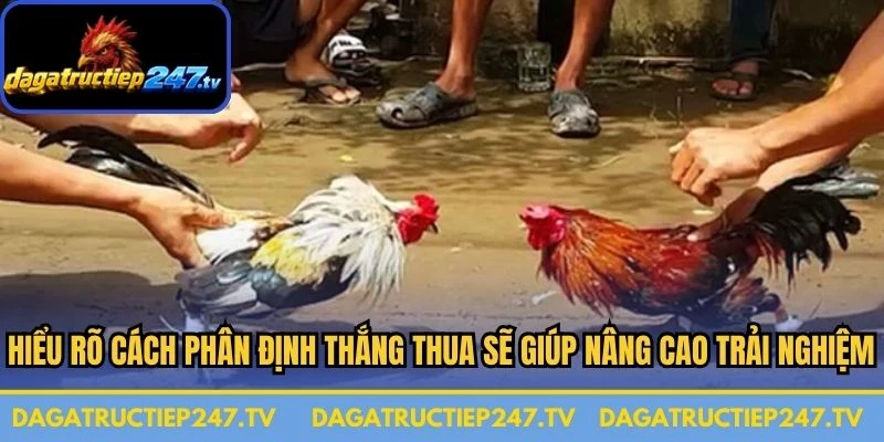 Hiểu rõ cách phân định thắng thua sẽ giúp bạn nâng cao trải nghiệm