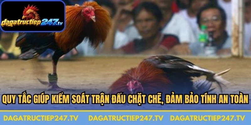 Quy tắc giúp kiểm soát trận đấu chặt chẽ, đảm bảo tính an toàn