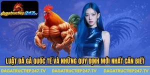 Luật Đá Gà Quốc Tế