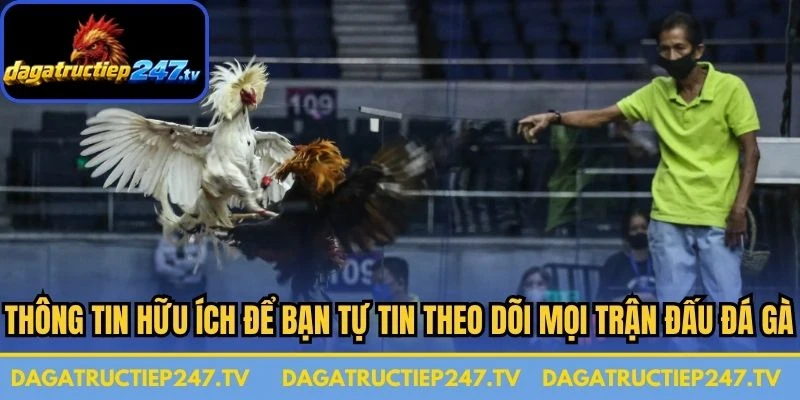 Thông tin hữu ích để bạn tự tin theo dõi mọi trận đấu Đá gà