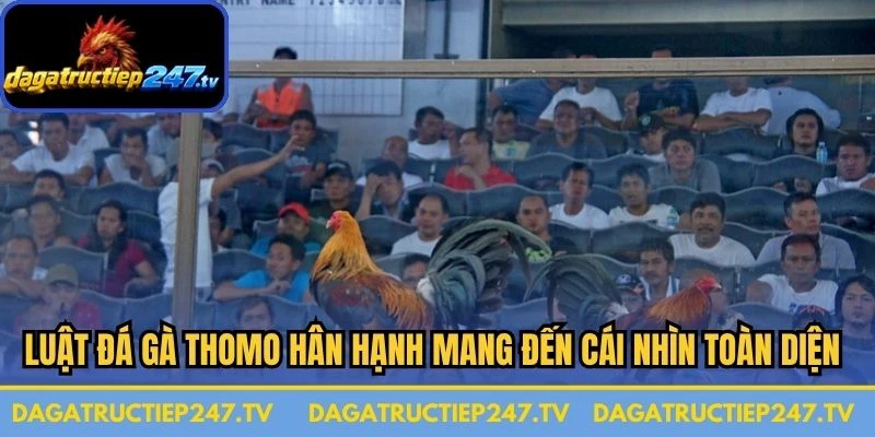 Luật đá gà Thomo hân hạnh mang đến cái nhìn toàn diện nhất