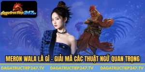 Meron Wala Là Gì