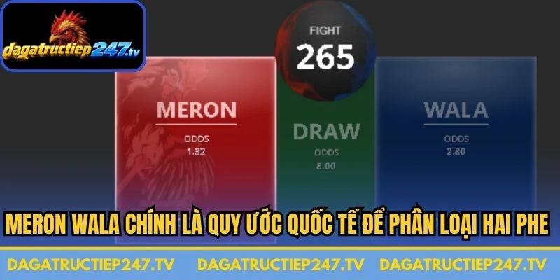 Meron Wala chính là quy ước quốc tế để phân loại hai phe gà đấu
