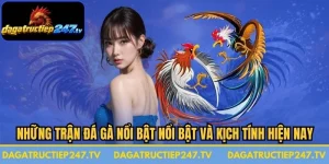 Những Trận Đá Gà Nổi Bật