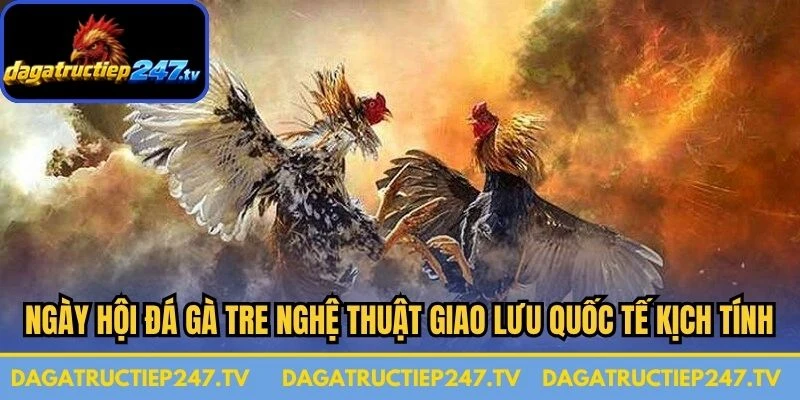 Ngày hội đá gà tre nghệ thuật giao lưu quốc tế rất kịch tính