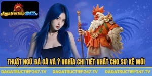 Thuật Ngữ Đá Gà