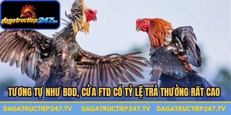 Tương tự như BDD, cửa FTD có tỷ lệ trả thưởng rất cao nhưng cực kỳ hiếm