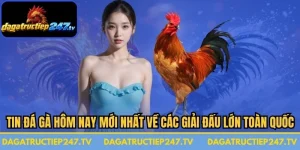Tin Đá Gà Hôm Nay