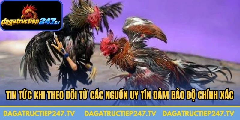 Tin tức khi được theo dõi từ các nguồn uy tín đảm bảo độ chính xác