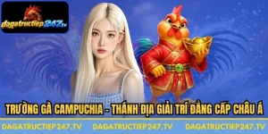 Trường Gà Campuchia