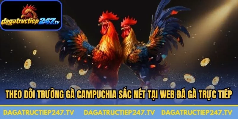 Theo dõi trường gà Campuchia sắc nét tại web đá gà trực tiếp