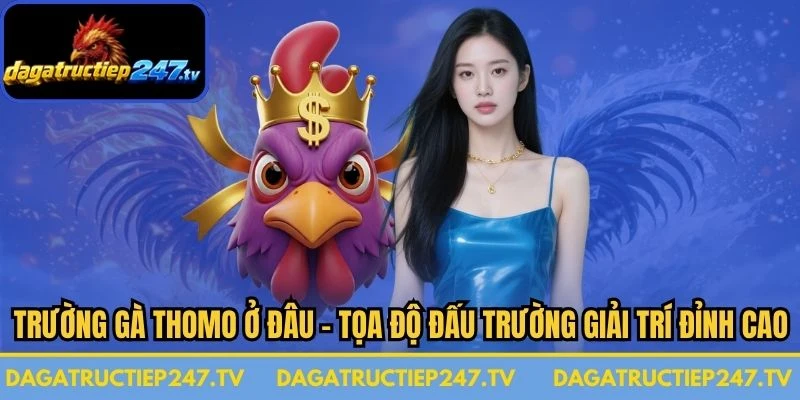 Trường Gà Thomo Ở Đâu