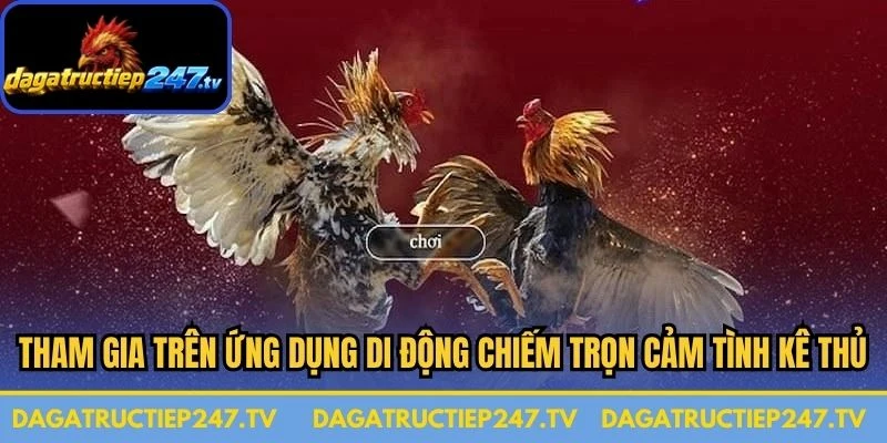 Tham gia trên ứng dụng di động đang chiếm trọn cảm tình kê thủ